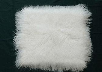 要想皮毛白度提升，應(yīng)選擇哪種增白劑